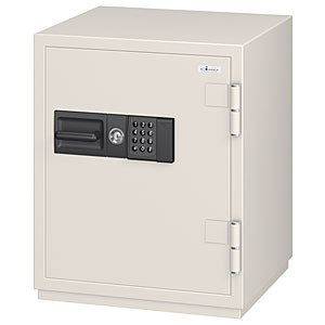 CSG91E.JPG