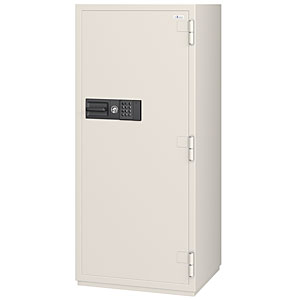 CSG95E.JPG