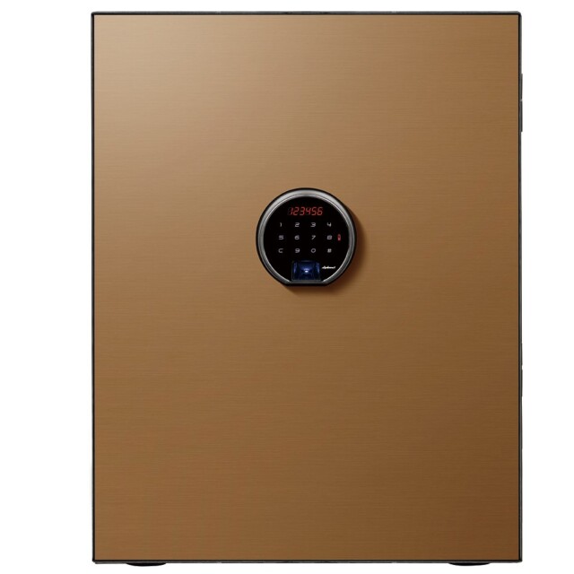 ディプロマットBY500FPCG