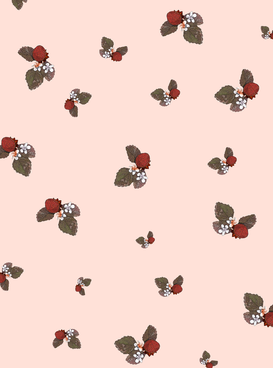 包装紙,イチゴ,いちご,柄