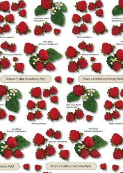 包装紙b3・いちご・アイコン