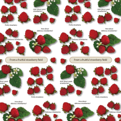 包装紙b3・いちご・ラインナップ