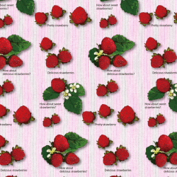 包装紙b3・いちご・縞柄・ラインナップ