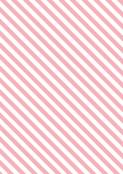 b3ボーダー柄包装紙・ピンク