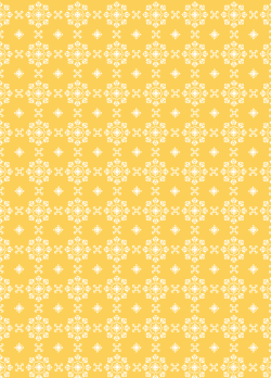 エレガンス,包装紙,オレンジ