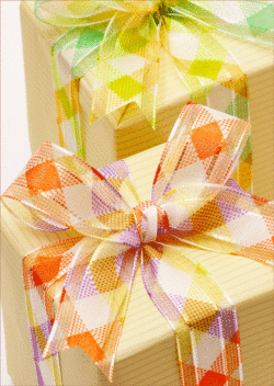 ラッピング 用品 リボン チェック柄