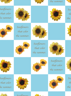 包装紙,ラッピングペーパー,ひまわり,向日葵,ラッピング協会