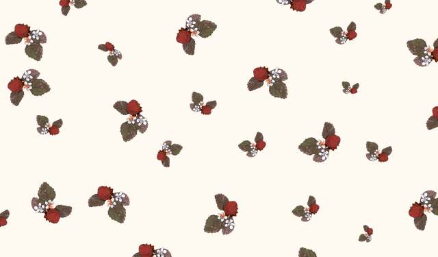 包装紙,イチゴ,いちご,柄