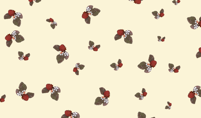 包装紙,イチゴ,いちご,柄