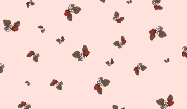 包装紙,イチゴ,いちご,柄