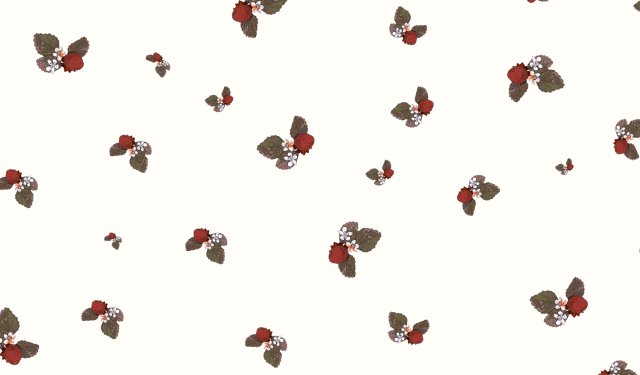 包装紙,イチゴ,いちご,柄