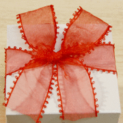 オーガンジーリボン・サイドループ・レッド