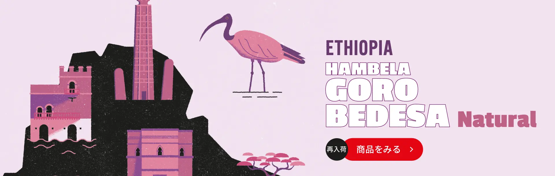 ゴロ・ベデッサN