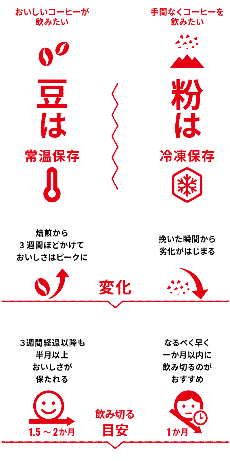 豆と粉の目的の違い