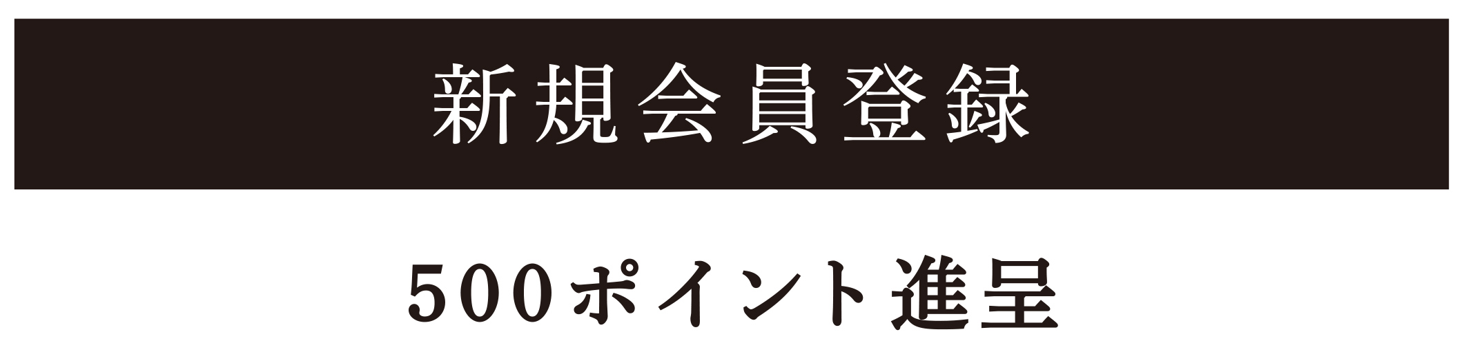 新規会員登録 500ポイント進呈