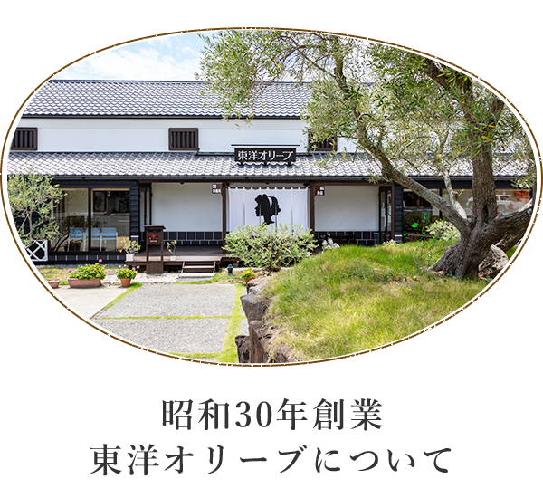 昭和30年創業 東洋オリーブについて