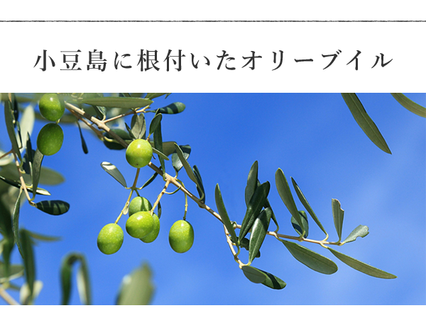 小豆島に根付いたオリーブオイル