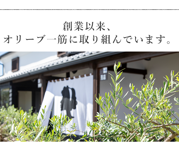 創業以来、オリーブ一筋に取り組んでいます。