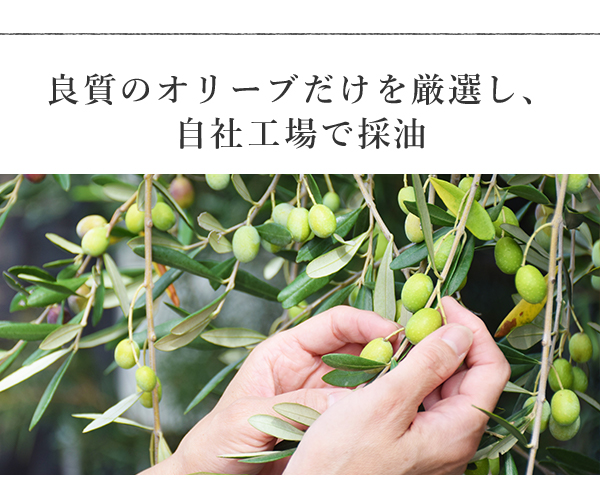 良質のオリーブだけを厳選し、自社工場で採油