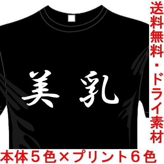 おもしろ漢字Tシャツ 美乳 送料無料