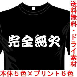 おもしろ漢字Tシャツ 完全無欠 四字熟語シリーズ 送料無料