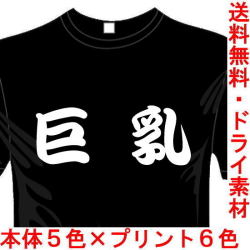 おもしろ漢字Tシャツ 巨乳 送料無料