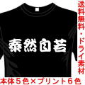 おもしろ漢字Tシャツ 泰然自若 四字熟語シリーズ 送料無料