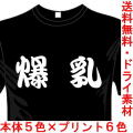 おもしろ漢字Tシャツ 爆乳 送料無料