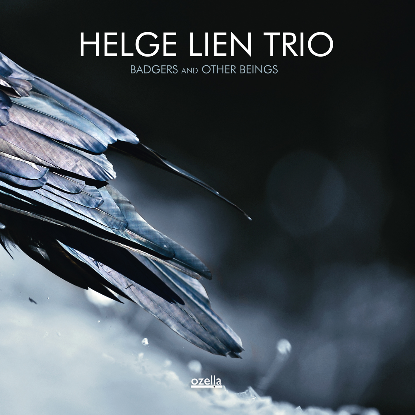 Helge Lien Trio: Badgers And Other Beings（LP) 【予約受付中】