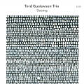 Tord Gustavsen Trio: Seeing 【予約受付中】