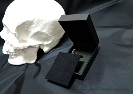 ジュエリーケース