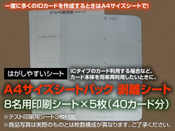 A4サイズシートパック【剥離シート】