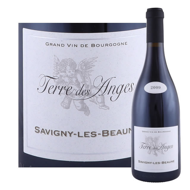 サヴィニー・レ・ボーヌ　テレ・デ・アンジュ　フジュレイ・ド・ボークレール　2009