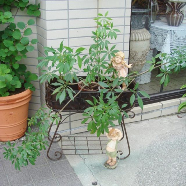 プランター,ガーデン用品,園芸,ガーデニング