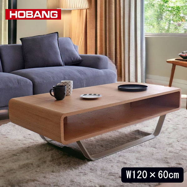 HOBANG センターテーブル おしゃれ 幅120cm リビングテーブル ラッシュルーム モダン ステンレス脚 北欧 -1