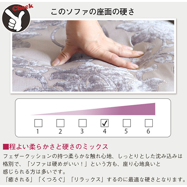 ヨーロピアンソファ,2人掛け,2人用,おしゃれ,シルバー,グレー,猫脚,輸入家具-4