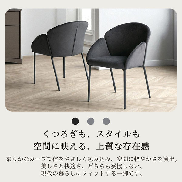 アームチェア 2脚セット モダンデザイン おしゃれ カフェ風 北欧テイスト シンプル-1