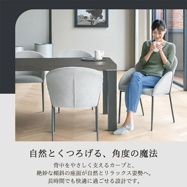 2脚セットでこのお値段】ダイニングチェア(アース)（グレー・ブラック