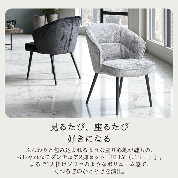 2脚セットでこのお値段】ダイニングチェア(エリー)（グレー・ブラック