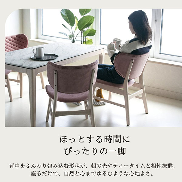 処分特価】【2脚セットでこのお値段】ダイニングチェア（ルマン）｜Y