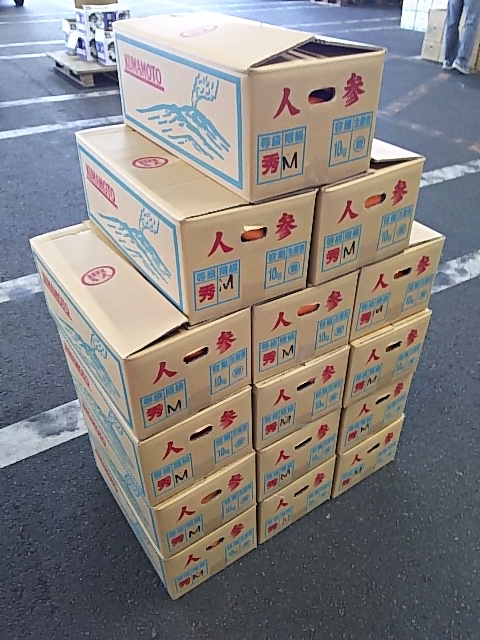 こだわり八百屋の【熊本県産】　オススメ産直フレッシュ  　大津町の春にんじん10ｋｇ