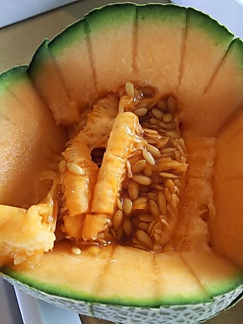 【熊本県産】フレッシュ産直便　　クインシーメロン　大玉３玉　高糖度