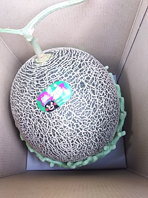 【熊本産】ギフトやお礼返しにオススメ！高糖度・肥後グリーンメロン　1玉 （3Ｌ～）産直フレッシュ便　