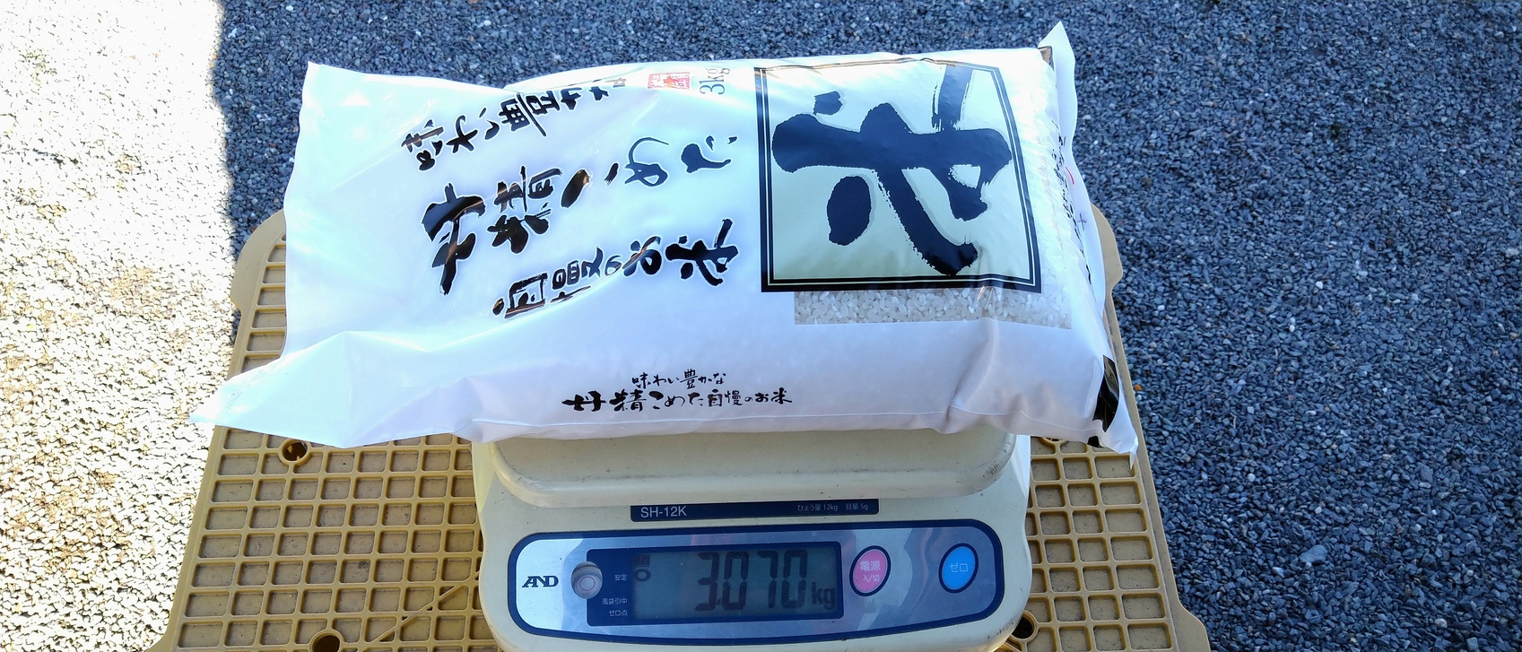 2022【自然栽培米】無洗米3ｋｇ　レターパック配送全国一律520円　熊本県産ササニシキの自家採種16年目冬期淡水無肥料無農薬栽培