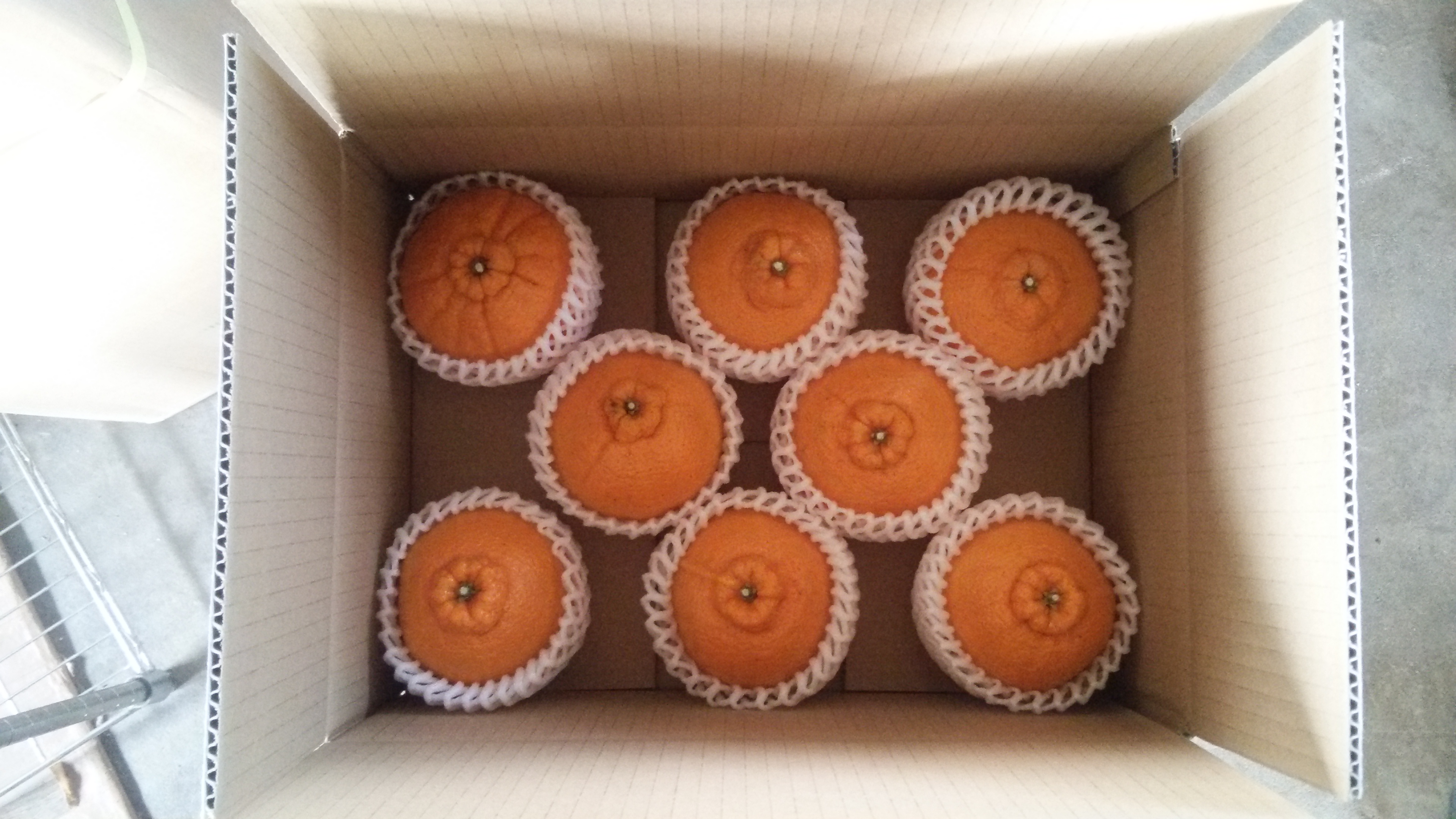 【自然栽培】熊本県産でこぽん　限定品大玉8玉希少品　Yes organic farmオリジナル1不知火果実