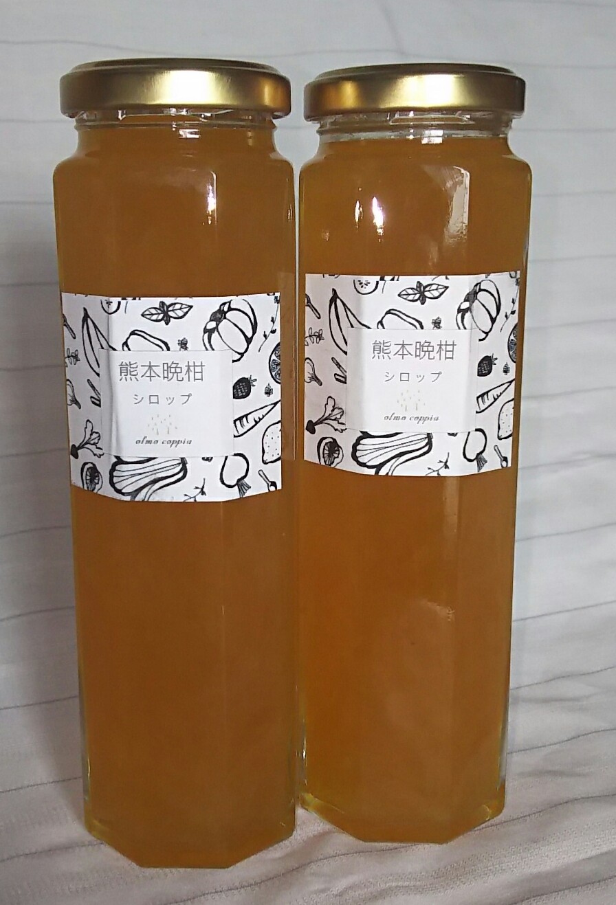 【熊本産】 olmo coppiaハンドメイド商品　河内晩柑シロップ3倍希釈　180ｇ　完全無添加