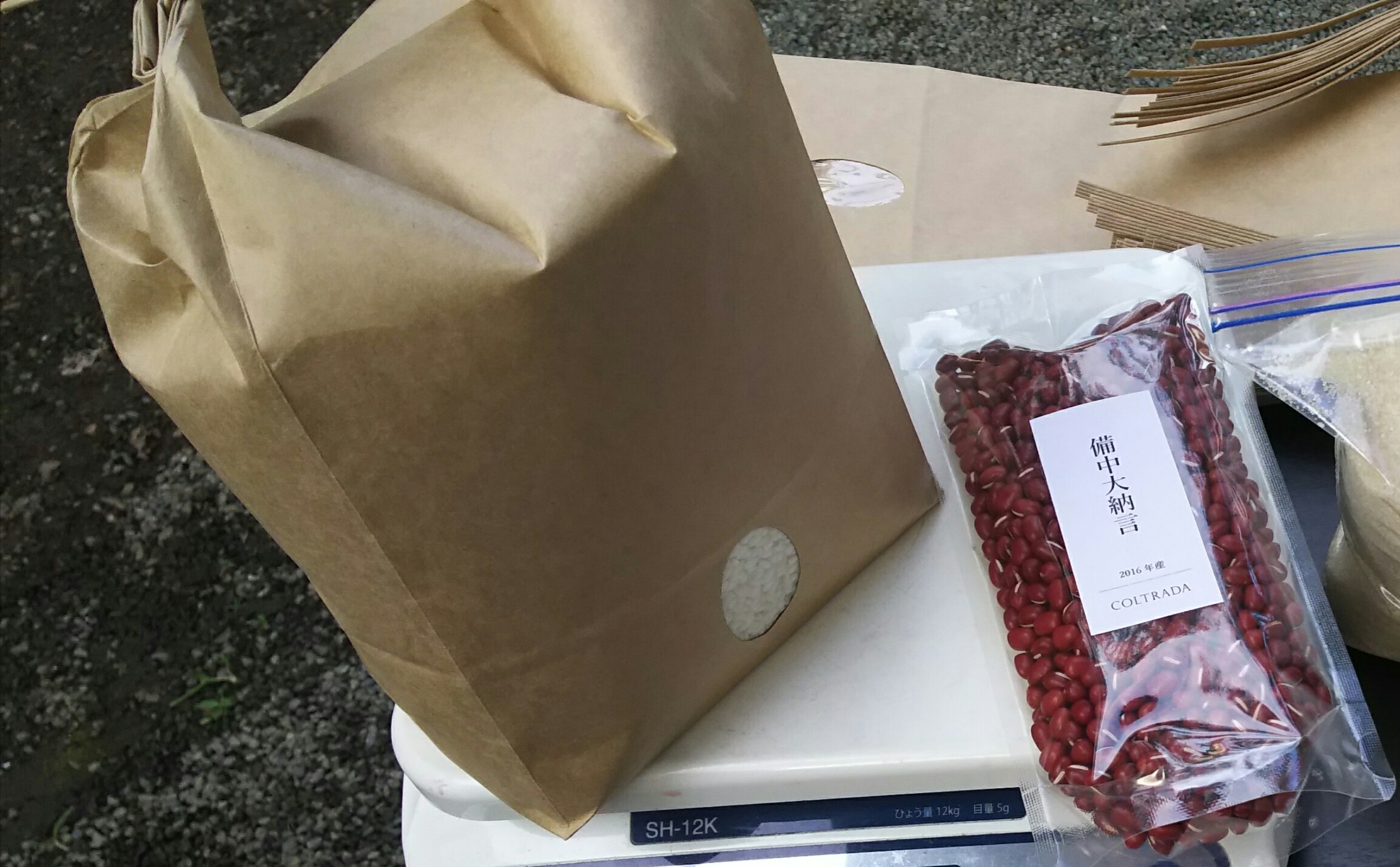 【自然栽培米】オーガニック　熊本県産　無肥料無農薬　自然栽培　福間さんのもち米精米　2kg