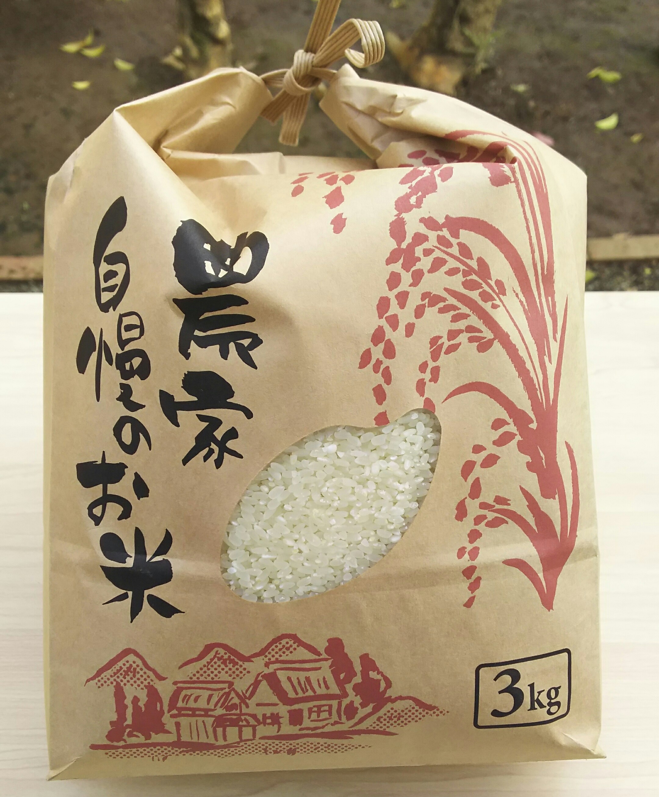 【自然栽培米】オーガニック　熊本県産　無肥料無農薬　　福間さんの冬期湛水自然栽培米・精米　3kg