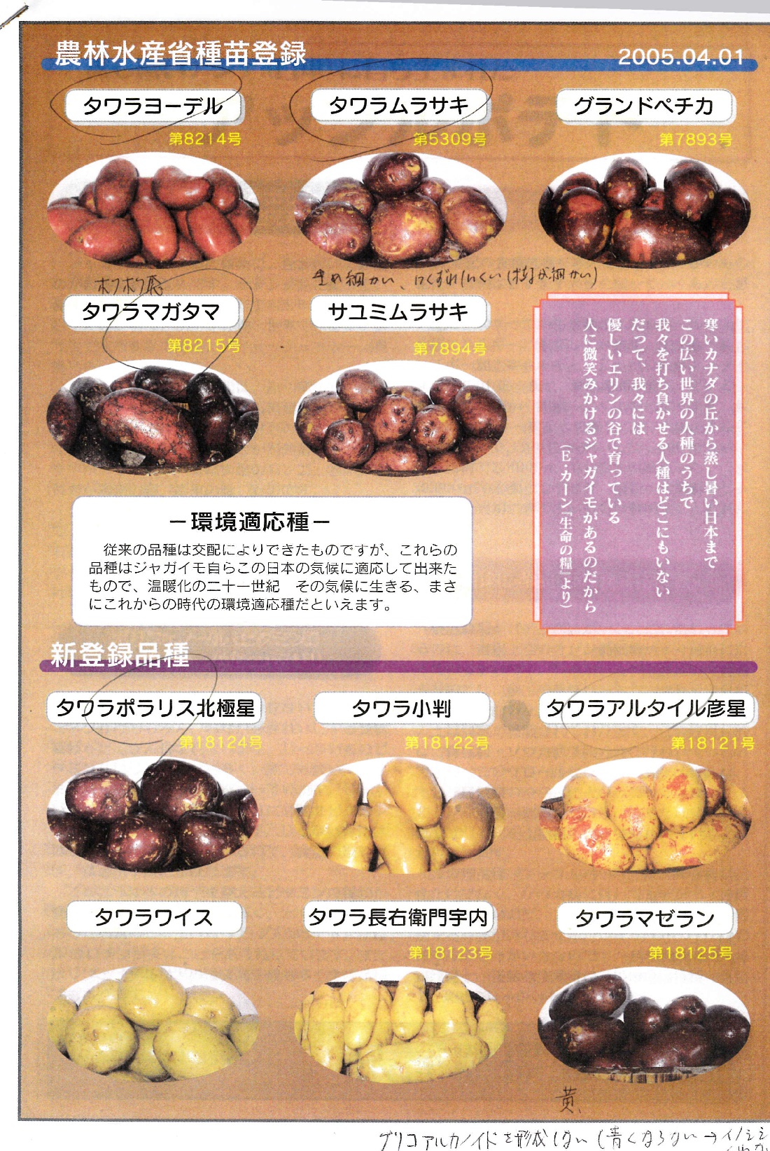 【自然栽培】じゃがいも　20kg 　送料無料