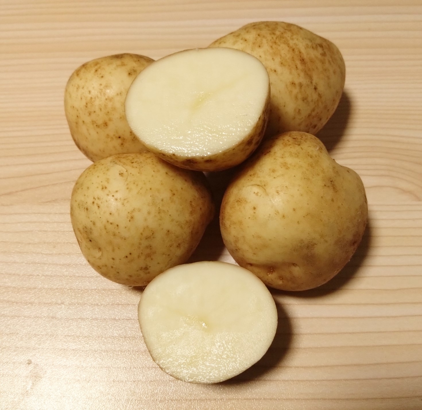 【自然栽培】じゃがいも2024“デジマ（出島）”２ｋｇ　福岡県産　自家採種・無施肥料・無農薬